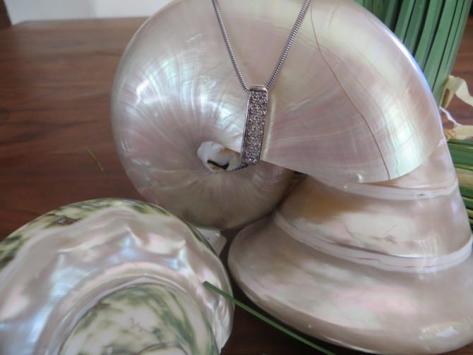 wit gouden choker briljant