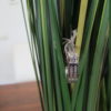 wit gouden dames ring briljant - Image 6