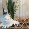 Zilveren design dames ring culitve parel - Image 4