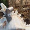 Zilveren design dames ring culitve parel - Image 3
